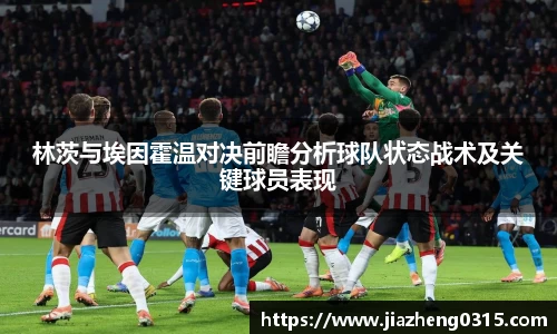 米乐YY易游m6官网入口